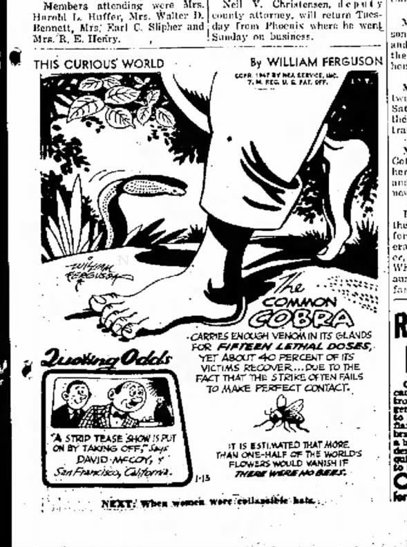Clipping from Arizona Daily Sun